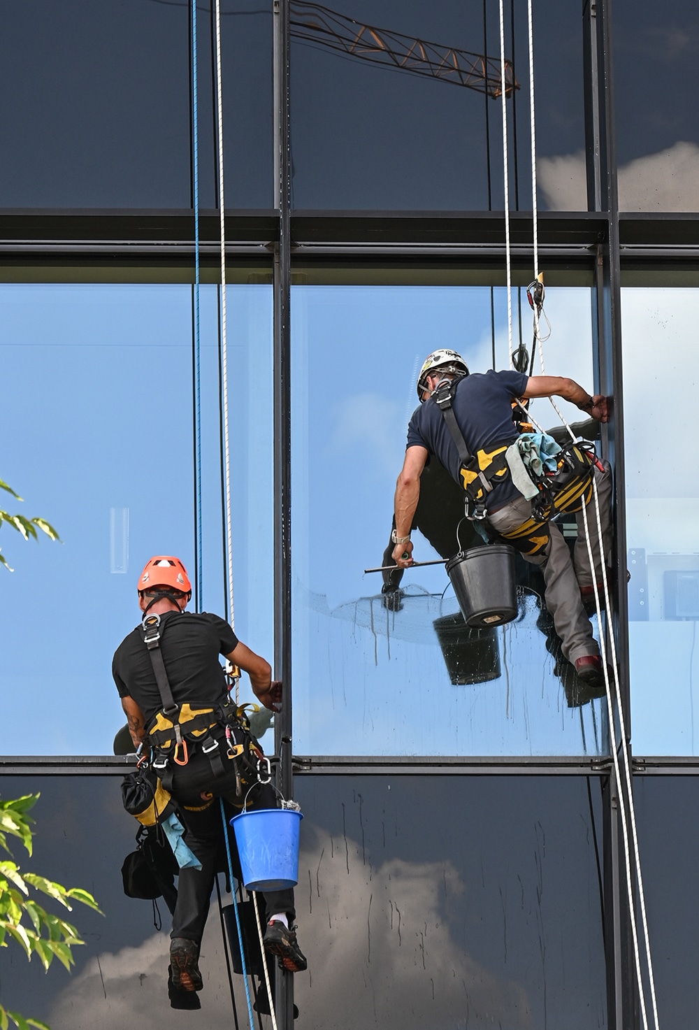 Cordiste lavage en hauteur